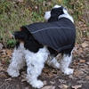 Picture of WATERPROOF REVERSIBLE VEST